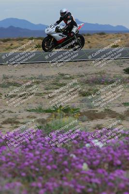media/Jan-14-2023-SoCal Trackdays (Sat) [[497694156f]]/Turn 14 Exit Bloomig (145pm)/